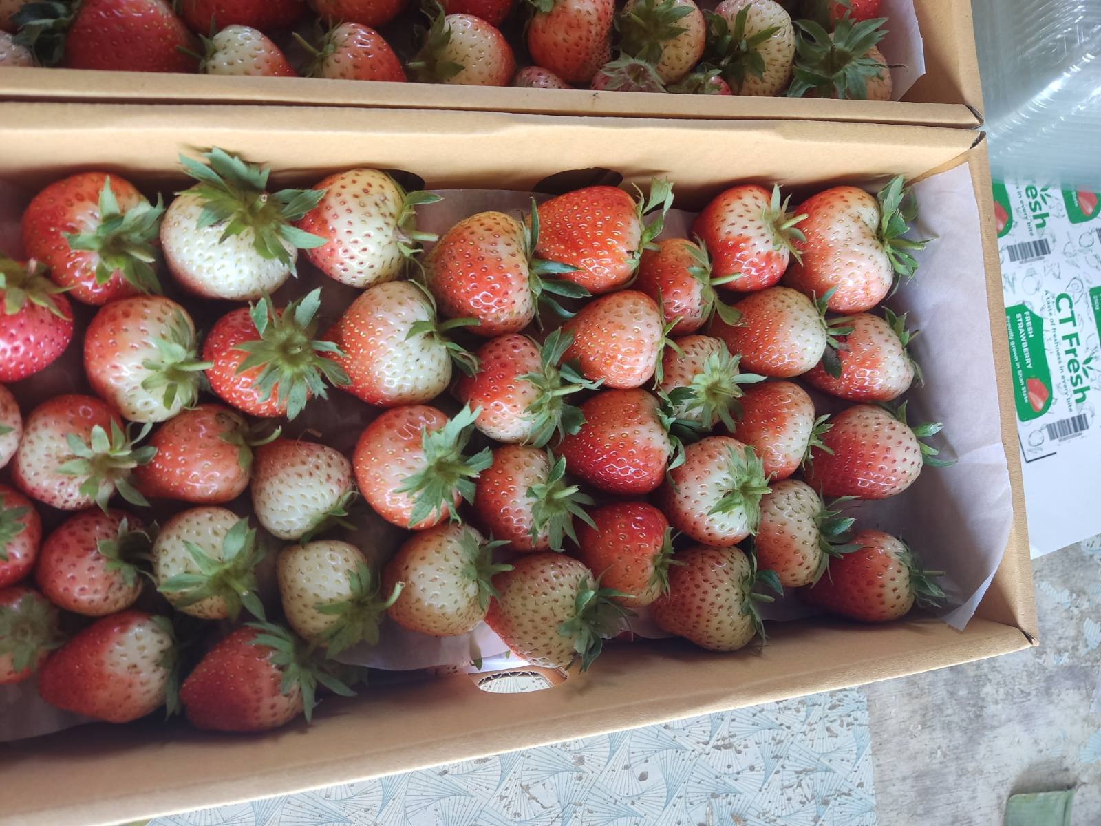 Fresh strawberries packed in crates for market