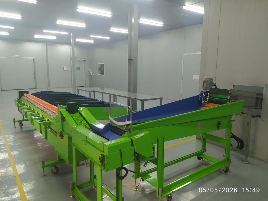 Grading conveyor