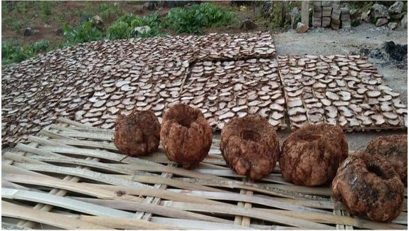 Whole tubers and sun-dried slices