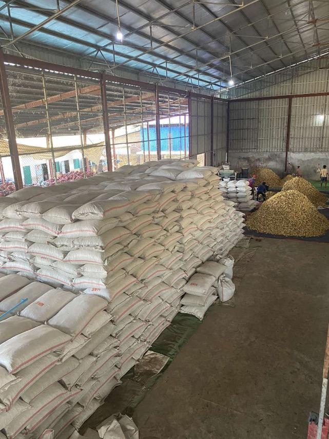 Bagged dried konjac in the warehouse